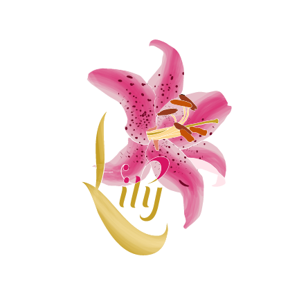 lily art and design logo