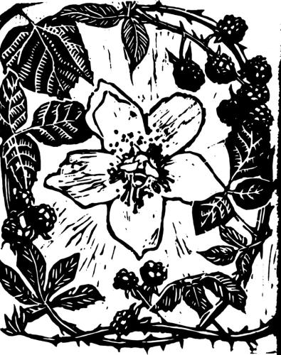 blackberry blossom relief print