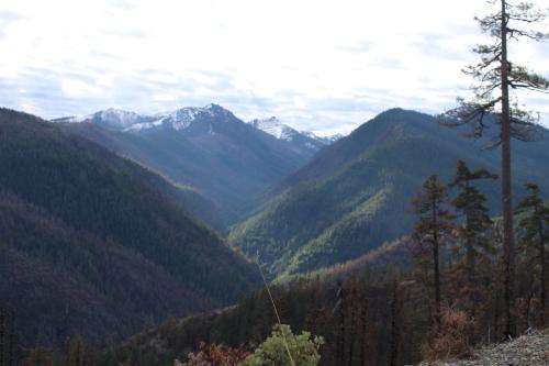 image of Siskiyou mountain range